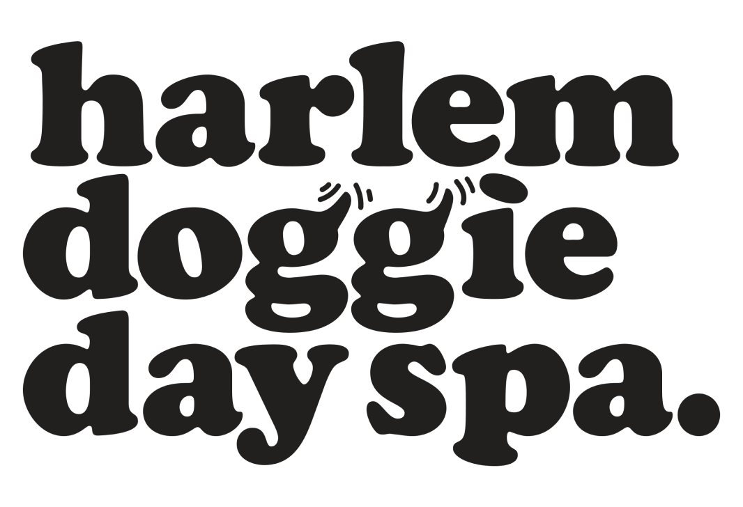 Hamish Smyth x NYC Harlem Doggie Day Spa